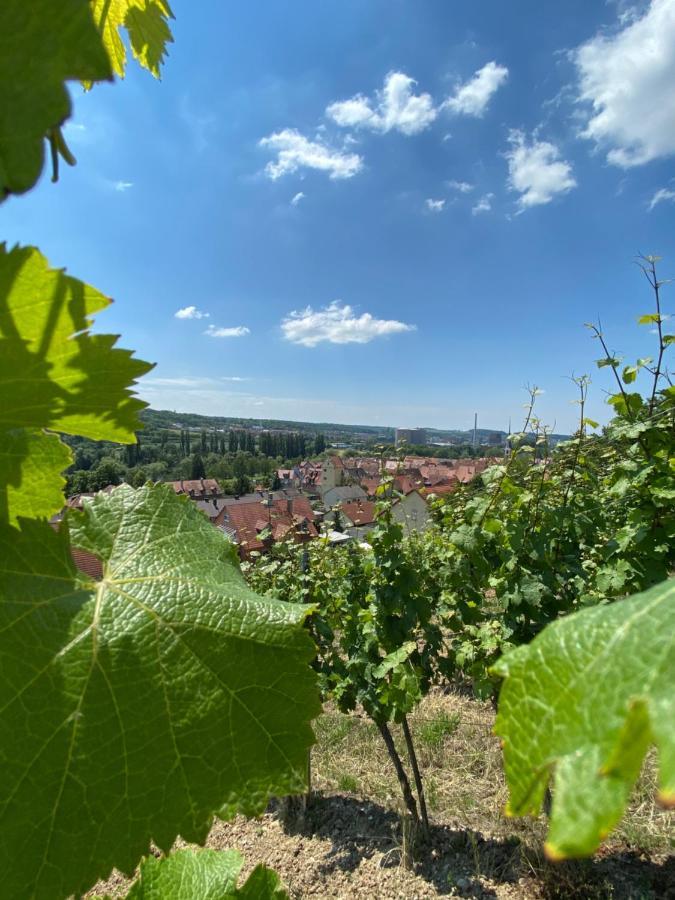 Ferienwohnung Wohlsein Frickenhausen am Main Dış mekan fotoğraf